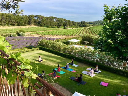 Provence Countryside