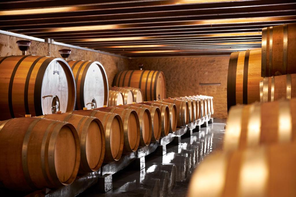 Provence Countryside