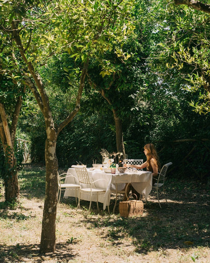 Provence Countryside